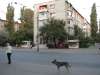 13.08.2001: In Pershotravneva street