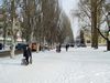 01.02.2005: In Pershotravneva street